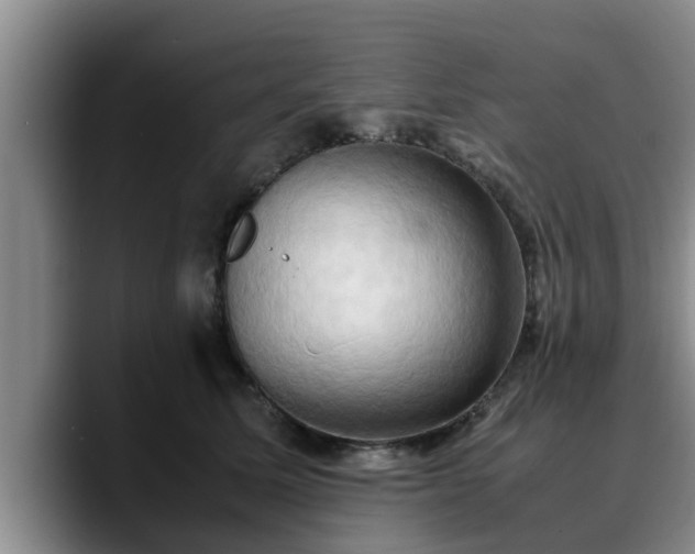 X0000090490611200707201538