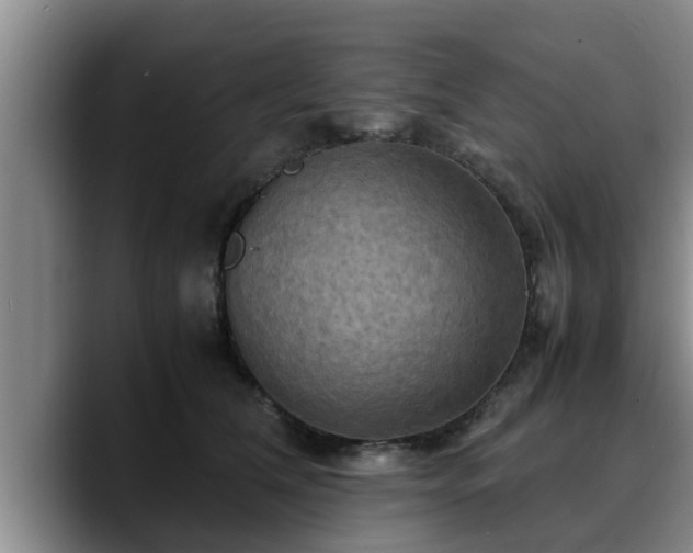 X0000090490612200707201538