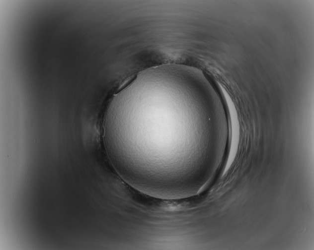 X0000090490613200707201538