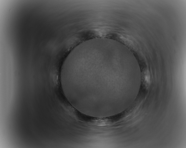 X0000090490615200707201538