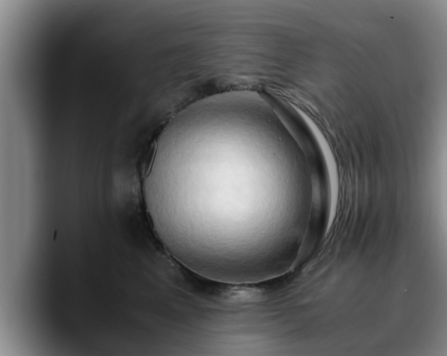 X0000090490617200707201538