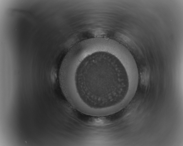 X0000090490618200707201538