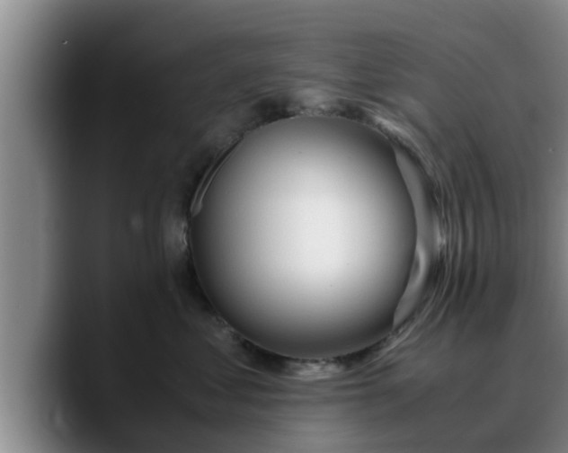 X0000090490621200707201538