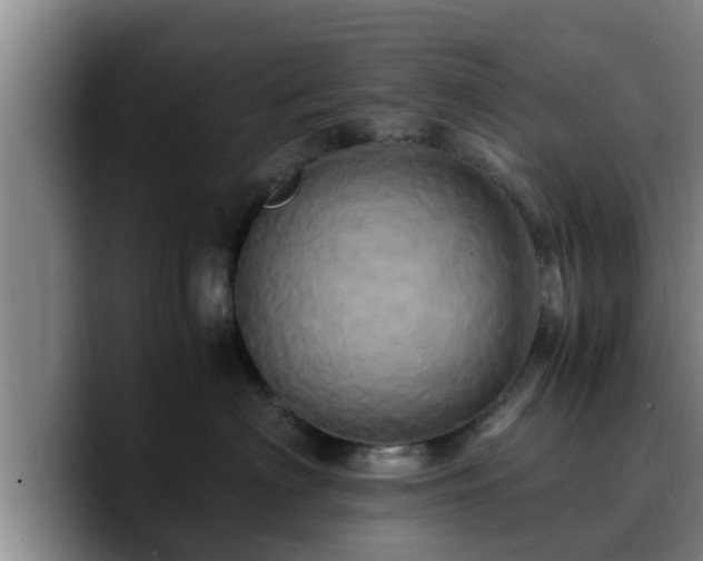 X0000090490622200707201538