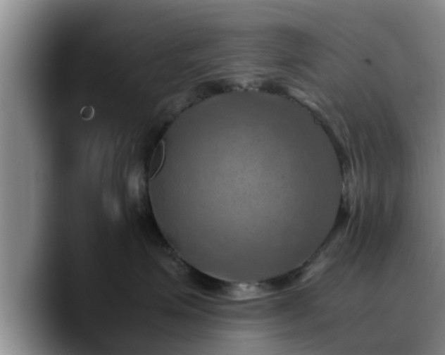X0000090490623200707201538