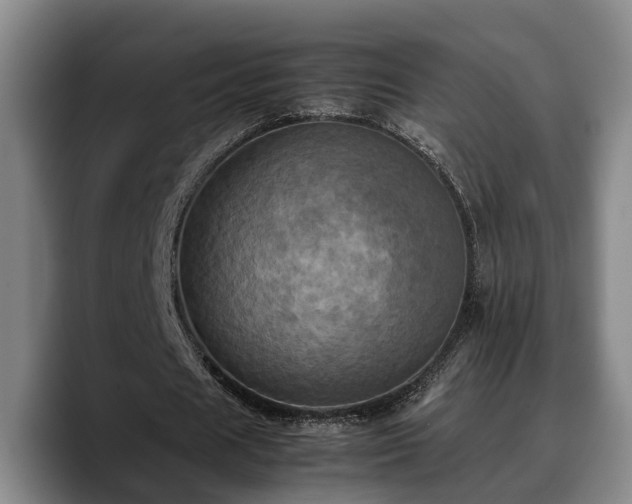 X0000090490625200707201538