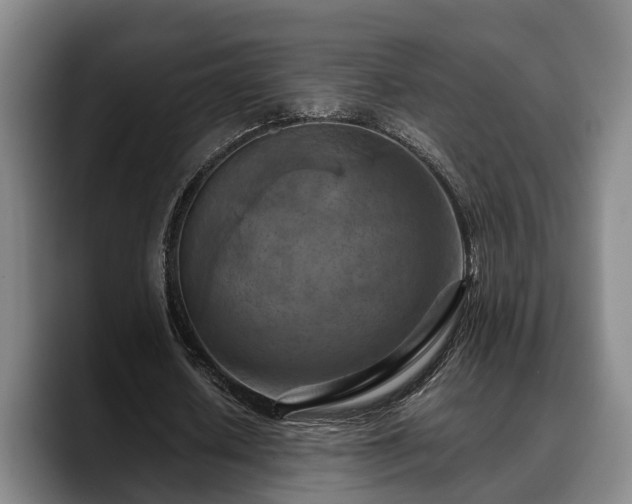 X0000090490626200707201538