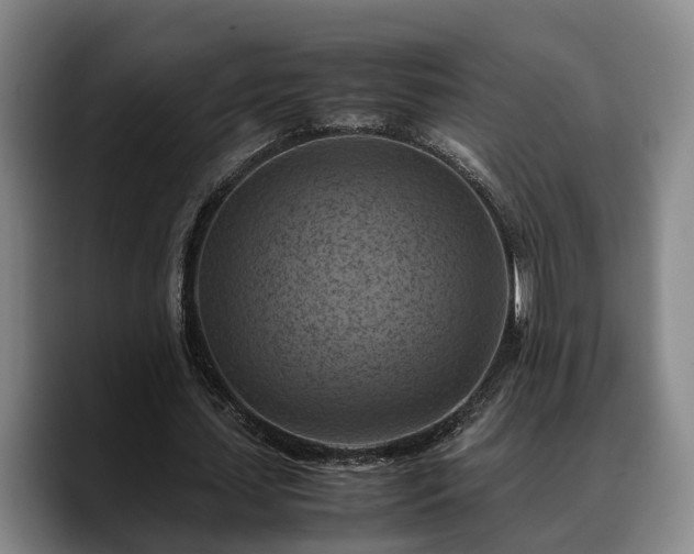 X0000090490627200707201538