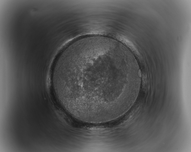 X0000090490628200707201538