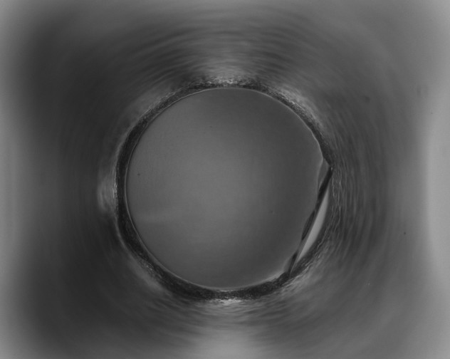 X0000090490630200707201538