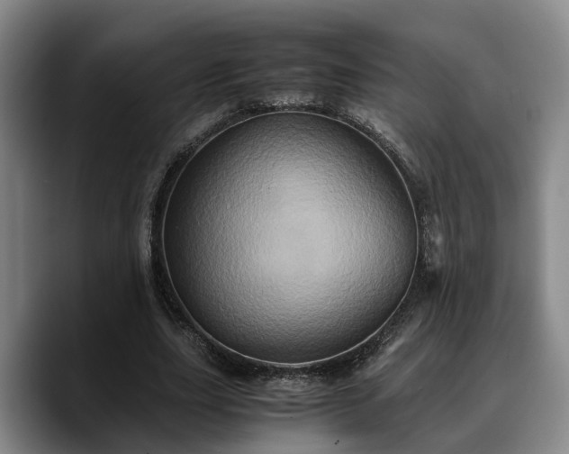 X0000090490631200707201538