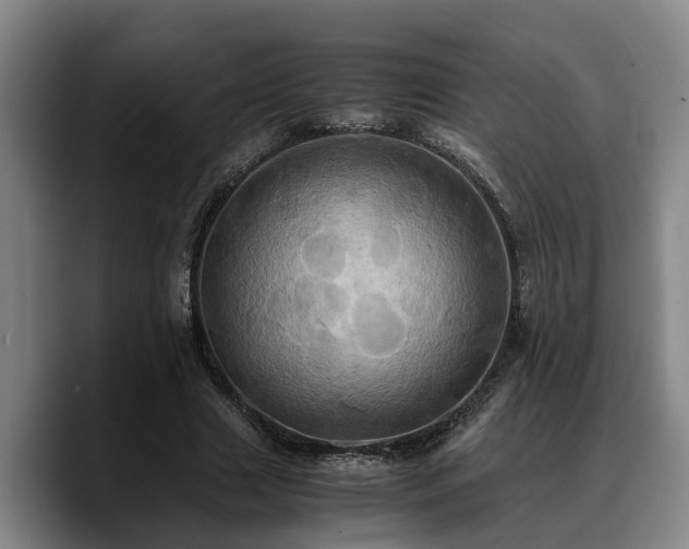 X0000090490633200707201538