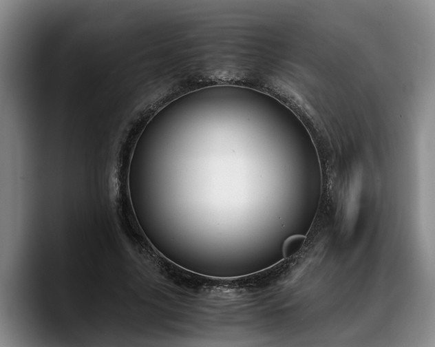 X0000090490635200707201538