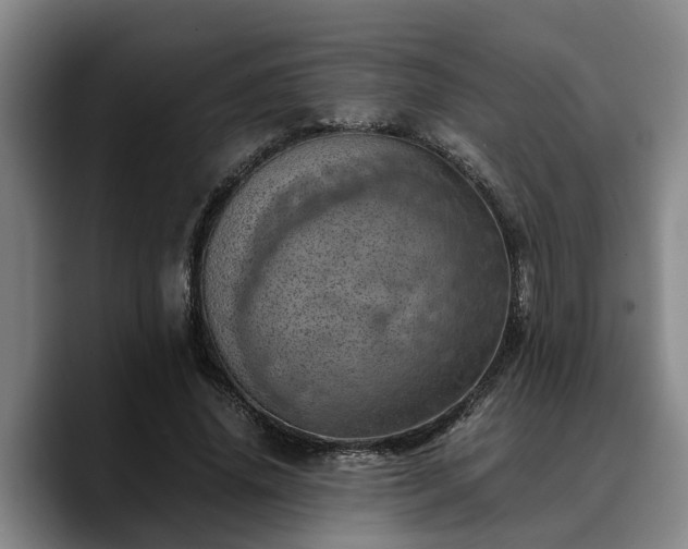X0000090490636200707201538
