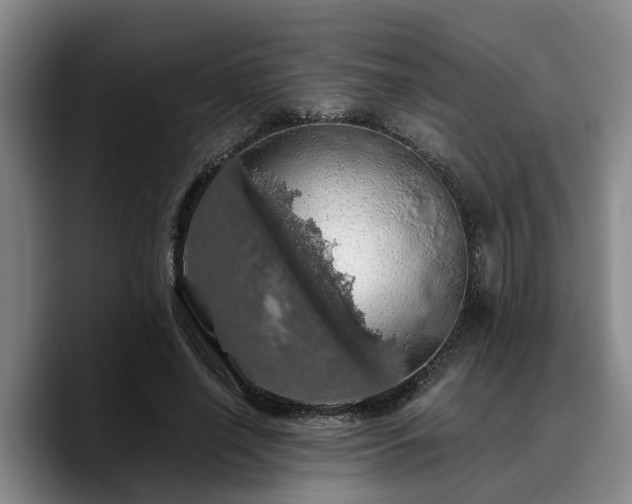 X0000090490638200707201538