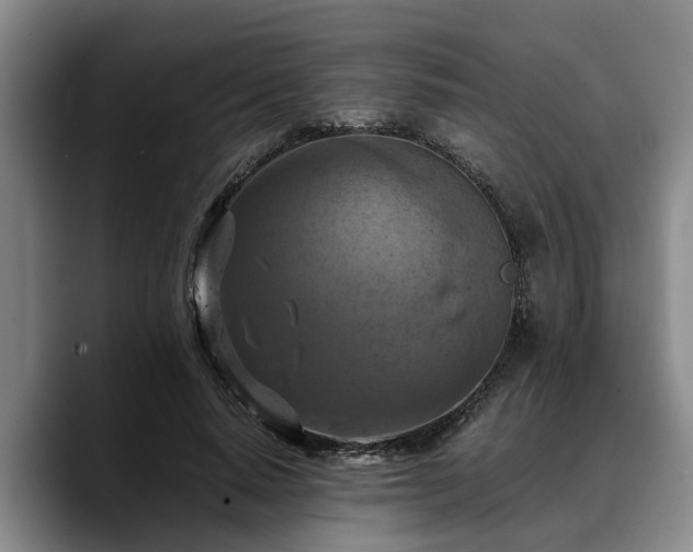 X0000090490640200707201538