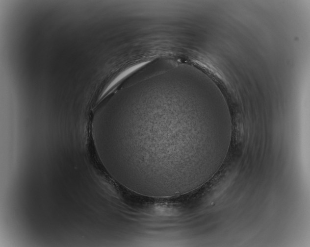 X0000090490641200707201538