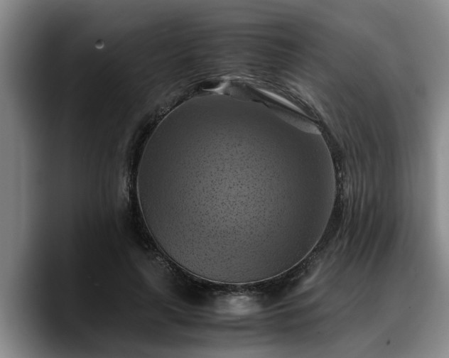 X0000090490643200707201538