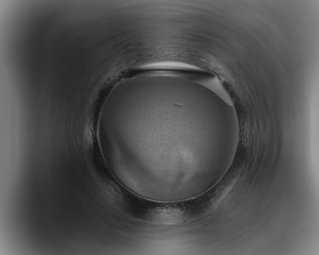 X0000090490644200707201538