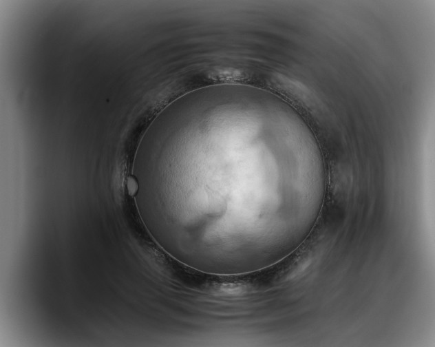 X0000090490645200707201538