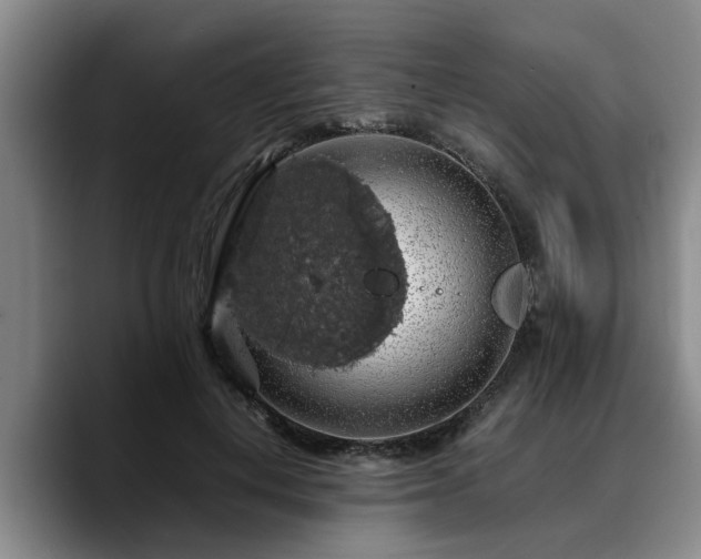 X0000090490648200707201538