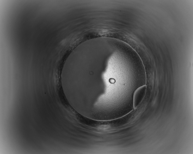 X0000090490653200707201538