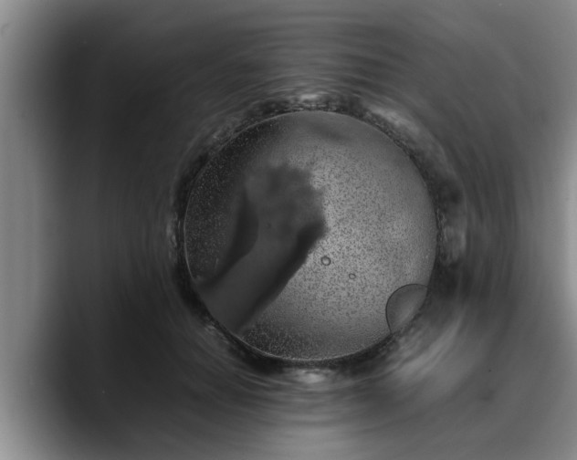 X0000090490654200707201538