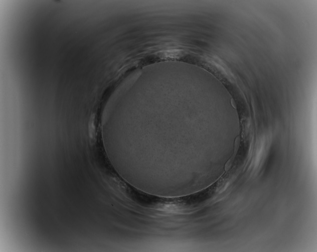 X0000090490655200707201538