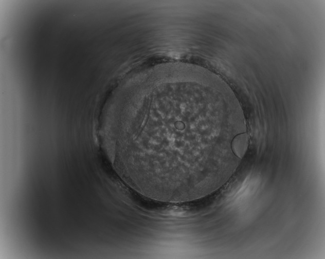 X0000090490656200707201538