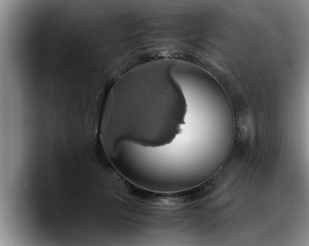 X0000090490657200707201538