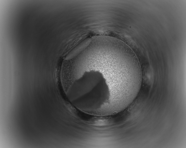 X0000090490658200707201538