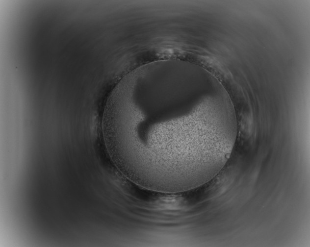 X0000090490659200707201538