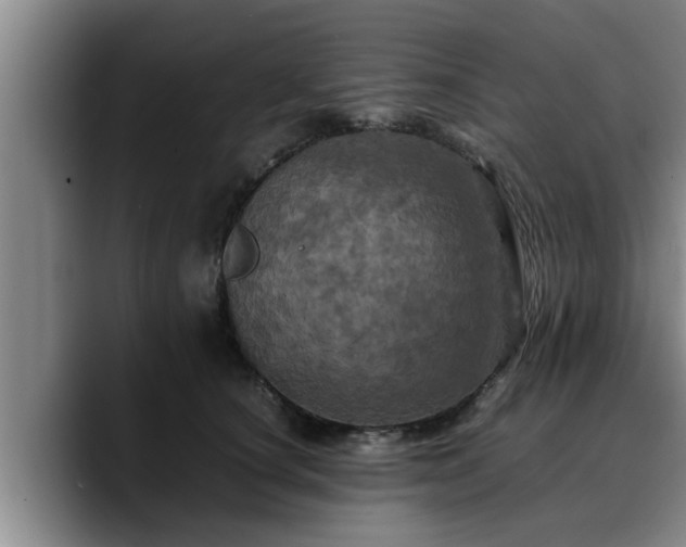 X0000090490660200707201538