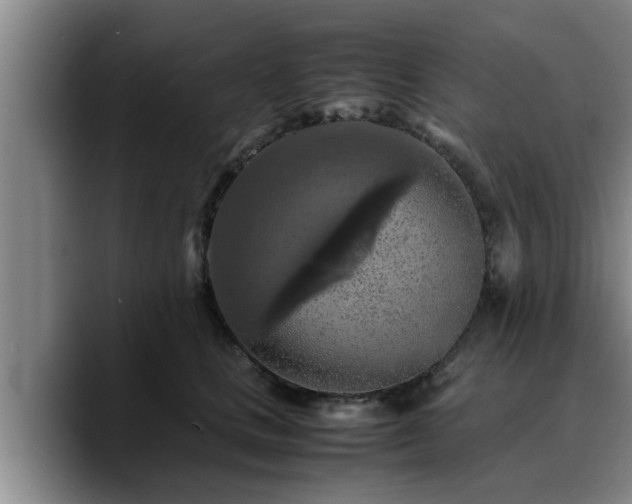 X0000090490661200707201538