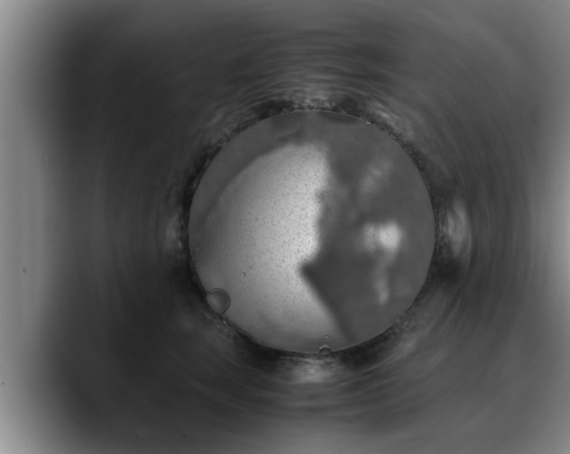 X0000090490663200707201538
