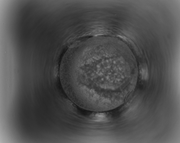 X0000090490665200707201538