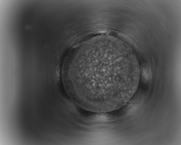 X0000090490668200707201538