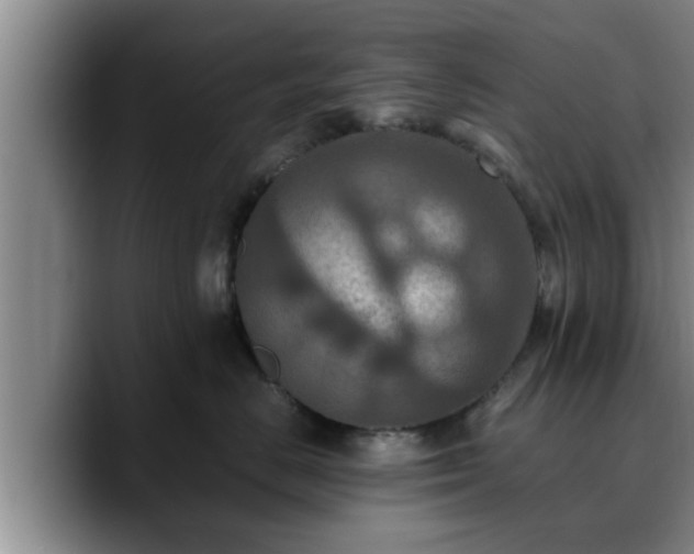 X0000090490670200707201538