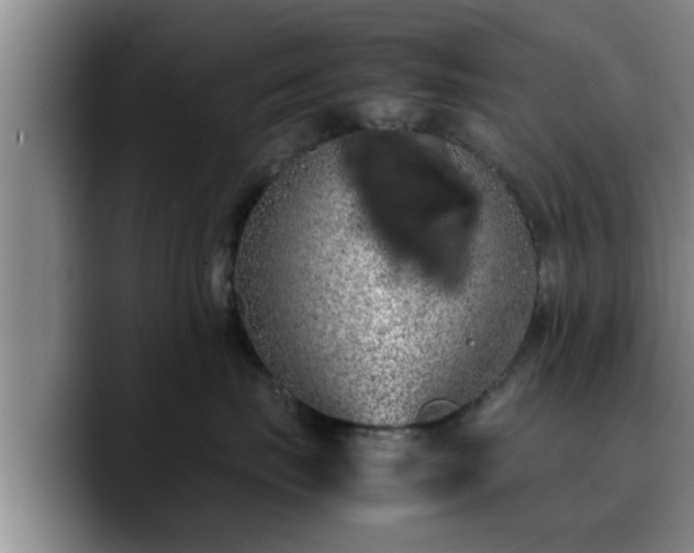 X0000090490671200707201538