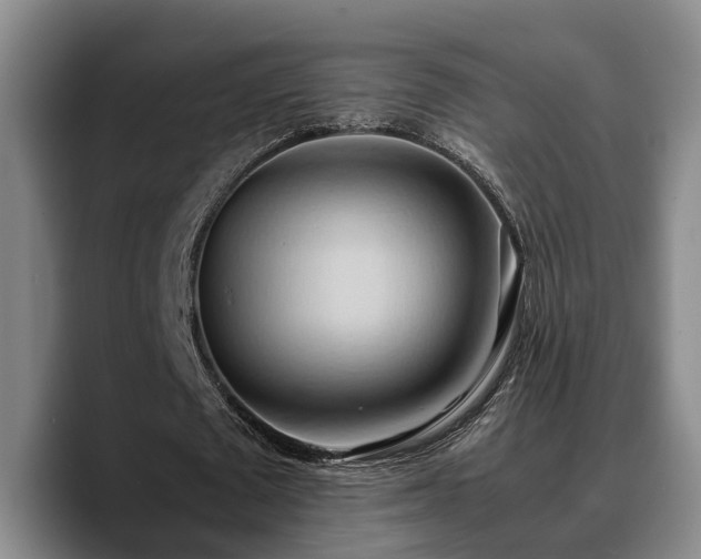 X0000090490673200707201538