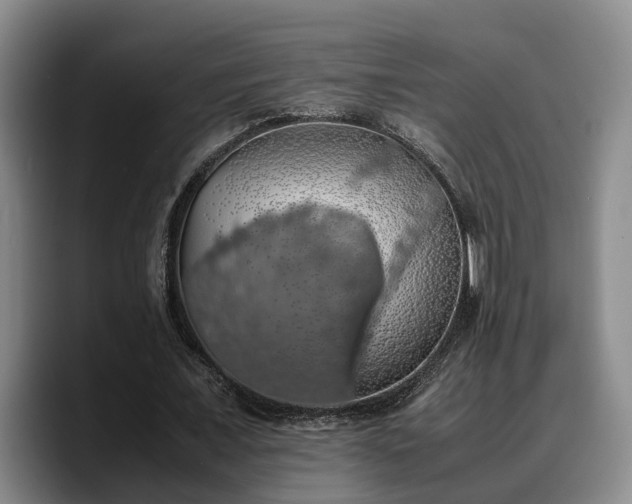 X0000090490675200707201538
