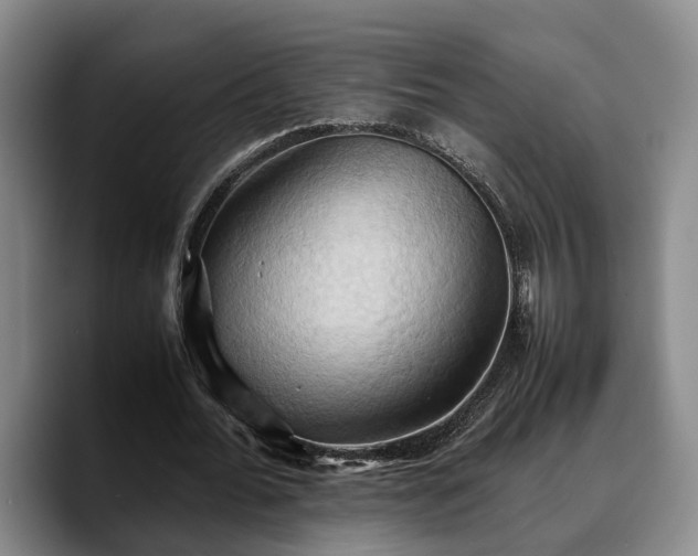 X0000090490676200707201538