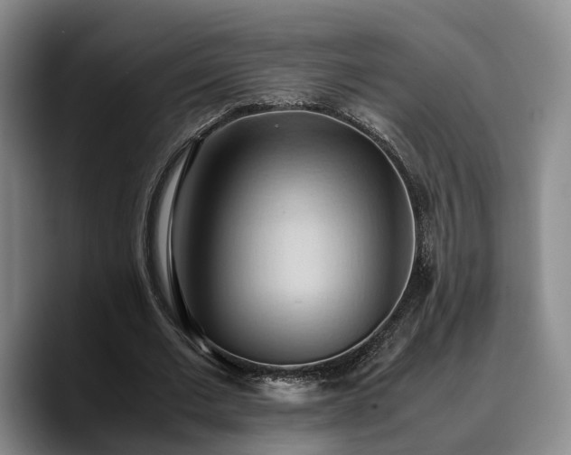 X0000090490677200707201538