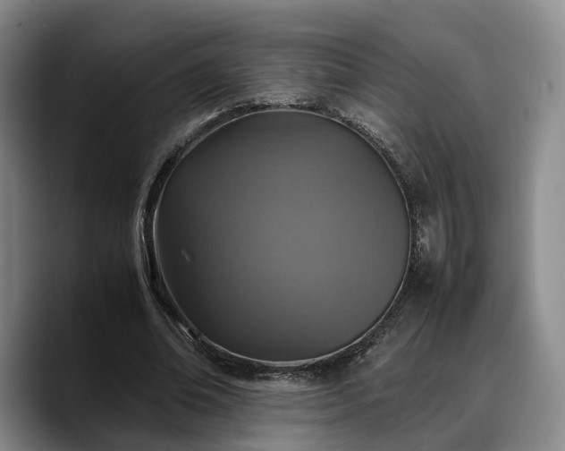 X0000090490678200707201538