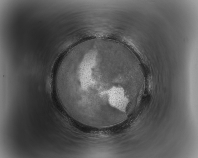 X0000090490679200707201538