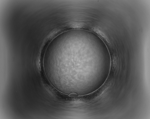 X0000090490682200707201538
