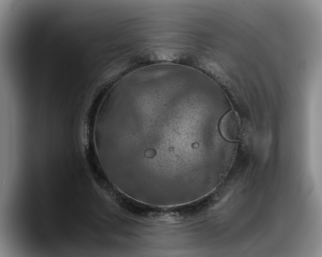 X0000090490683200707201538