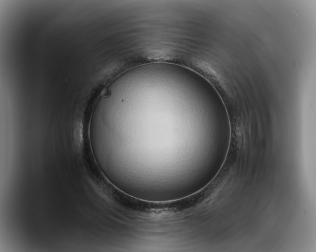 X0000090490686200707201537