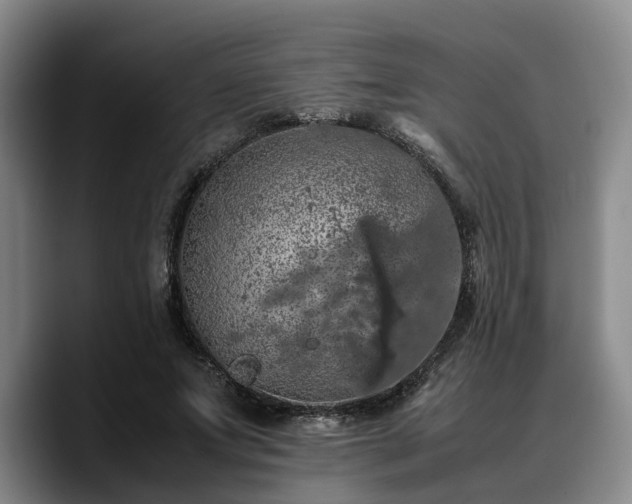 X0000090490687200707201537