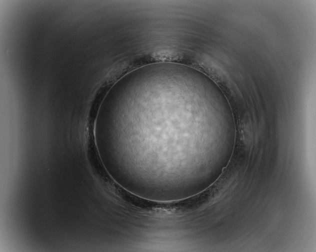 X0000090490690200707201537